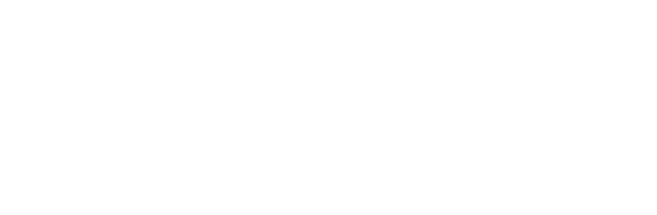 Dentsu Innovation Partners